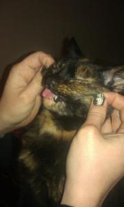 206421_10152153994985016_2131711011_n