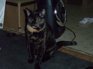 Got my camera back... Spring break and more 020